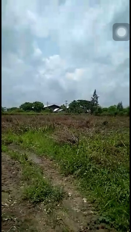 Jual Tanah Tuban Lokasi Strategis