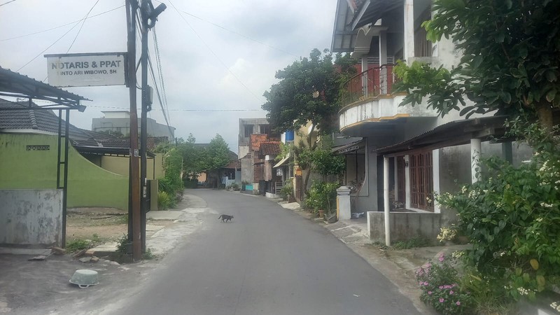 Dijual Tanah Luas 2.146 Meter Persegi, Lokasi Asri di Sidokarto, Godean