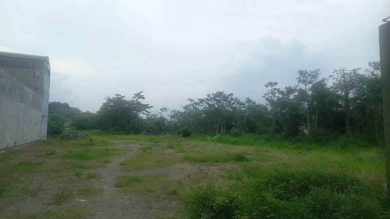 Dijual Tanah Luas 2.146 Meter Persegi, Lokasi Asri di Sidokarto, Godean