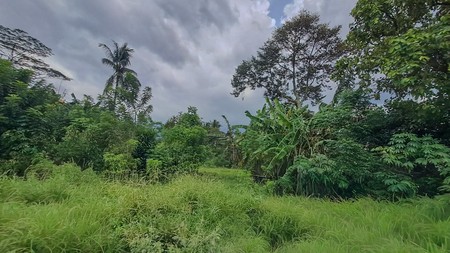 Tanah strategis dekat Cibeuteung Udik Ciseeng Bogor akses Ciputat