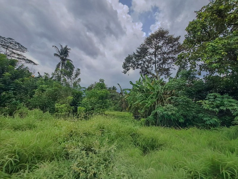 Tanah strategis dekat Cibeuteung Udik Ciseeng Bogor akses Ciputat