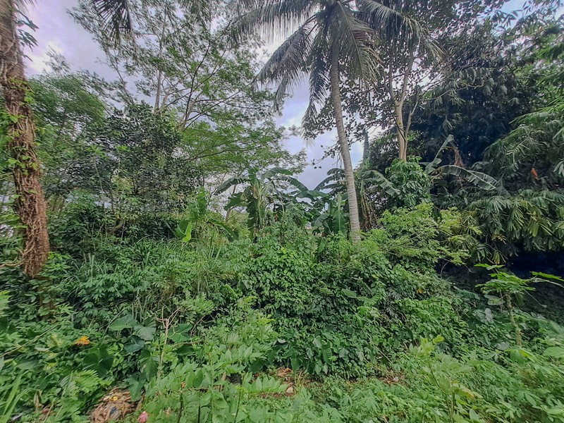 Tanah strategis dekat Cibeuteung Udik Ciseeng Bogor akses Ciputat