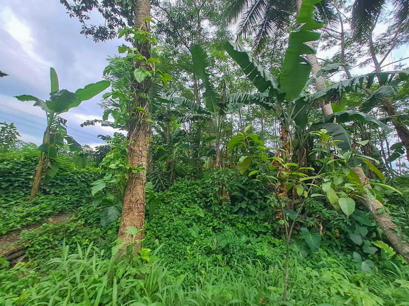Tanah strategis dekat Cibeuteung Udik Ciseeng Bogor akses Ciputat