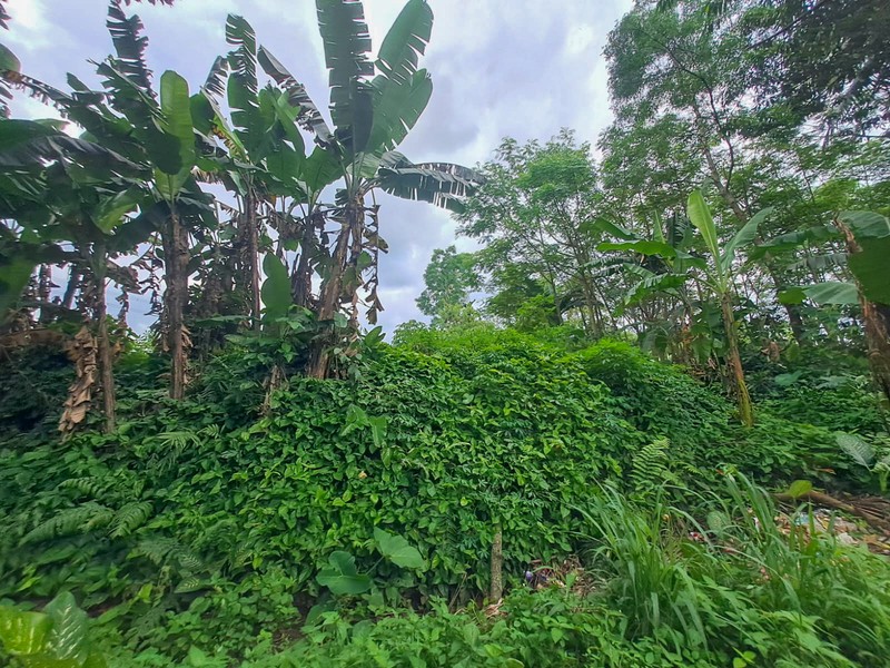 Tanah strategis dekat Cibeuteung Udik Ciseeng Bogor akses Ciputat