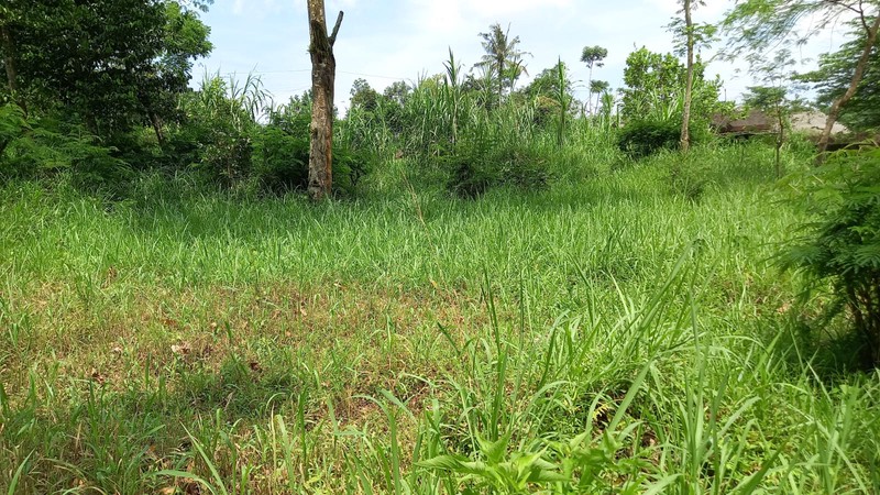 Lahan Potensial Cocok untuk Villa Lokasi Jalan Turgo -  Pakem Sleman
