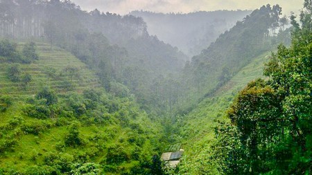 Tanah di Lembang Bandung akses Maribaya Sersan Bajuri Pagerwangi