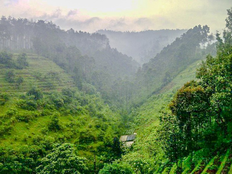 Tanah di Lembang Bandung akses Maribaya Sersan Bajuri Pagerwangi
