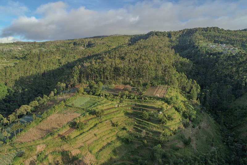 Tanah di Lembang Bandung akses Maribaya Sersan Bajuri Pagerwangi