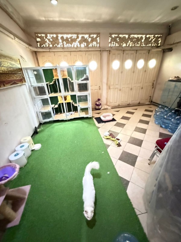 Rumah Besar Luxury di Puri Sri Wedari Cibubur 