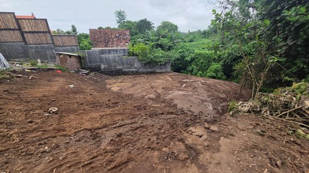 Freehold - Beachside Freehold Land for Sale in Saba, Bali - Only 100 Meters to the Ocean