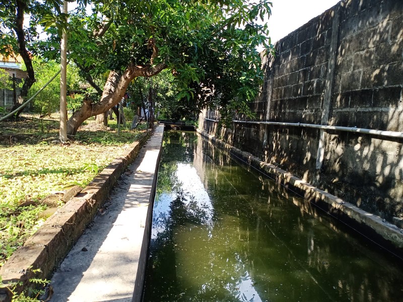 Rumah & Lahan Luas Cemandi Sedati LT 905 m², Tenang & Bebas Banjir