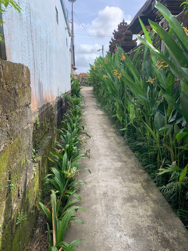 Villa Rental 2 Bedrooms in Mambal Close Ubud Bali