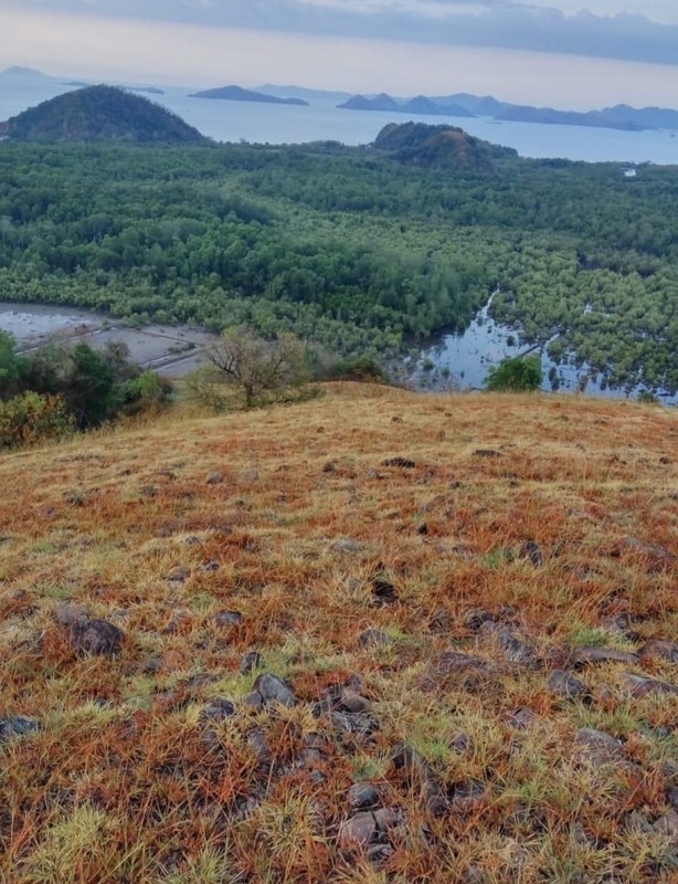 Land Freehold Ocean View In Labuan Bajo