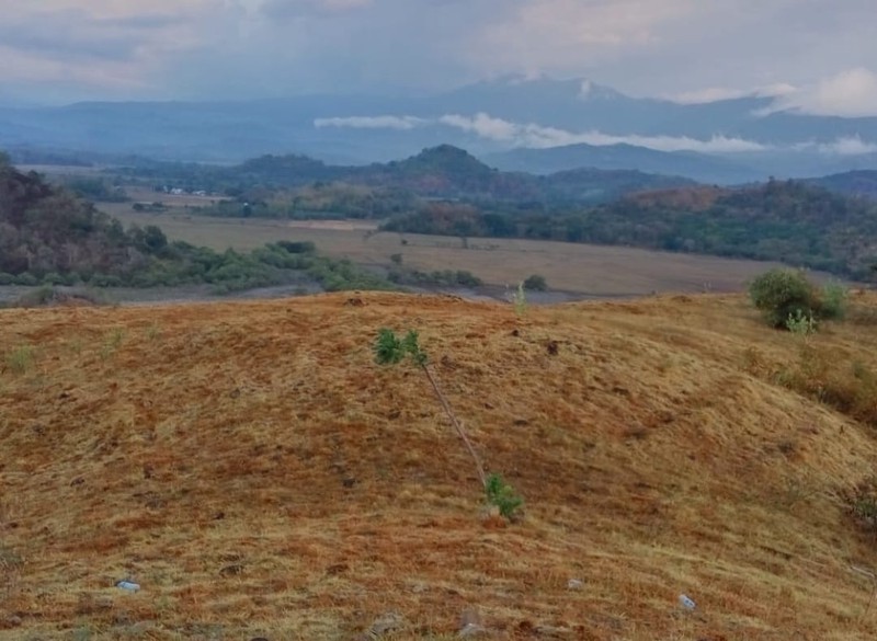 Land Freehold Ocean View In Labuan Bajo