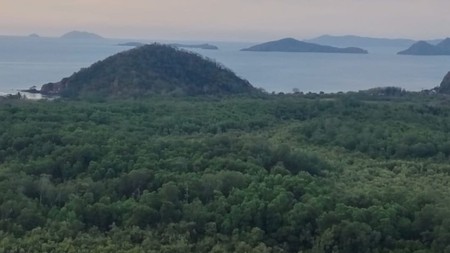 Land Freehold Ocean View In Labuan Bajo