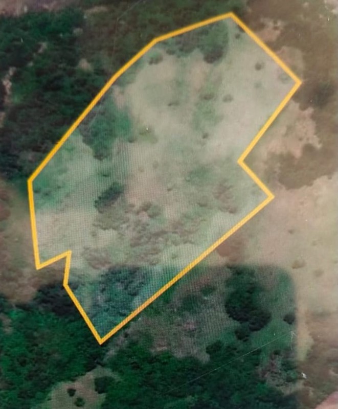 Land Freehold Ocean View In Labuan Bajo