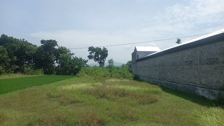 Dijual Tanah Sawah 1059 Meter Persegi Strategis Zona Kuning, Bisa Dikeringkan, Patalan, Jetis, Bantul