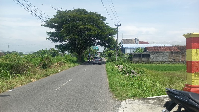 Dijual Tanah Sawah 1059 Meter Persegi Strategis Zona Kuning, Bisa Dikeringkan, Patalan, Jetis, Bantul