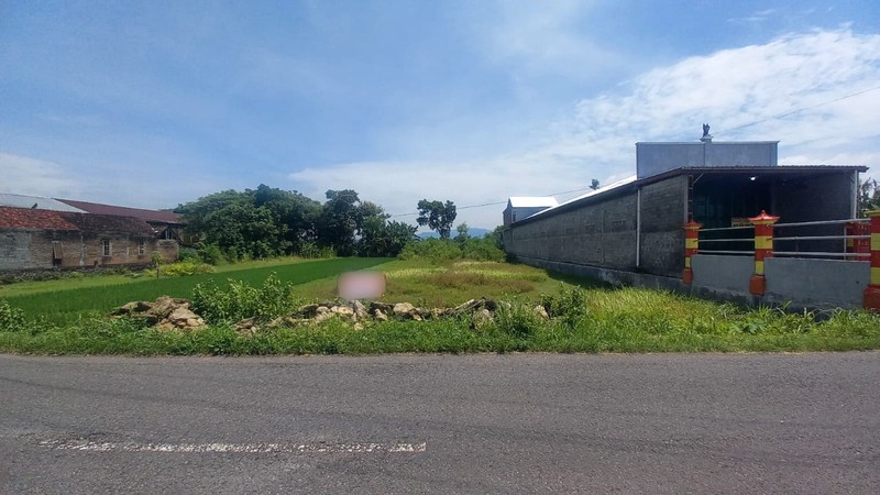 Dijual Tanah Sawah 1059 Meter Persegi Strategis Zona Kuning, Bisa Dikeringkan, Patalan, Jetis, Bantul