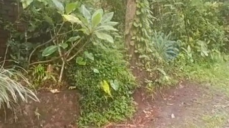 Kavling Siap Bangun Di Green Palma Residence Cluster Palma Wood Tigaraksa