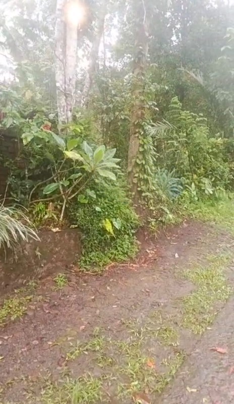 Kavling Siap Bangun Di Green Palma Residence Cluster Palma Wood Tigaraksa