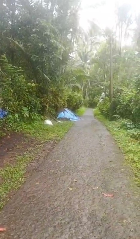 Kavling Siap Bangun Di Green Palma Residence Cluster Palma Wood Tigaraksa