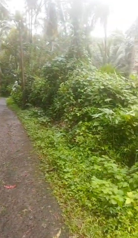 Kavling Siap Bangun Di Green Palma Residence Cluster Palma Wood Tigaraksa