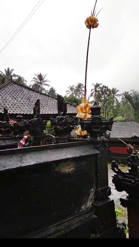 Kavling Siap Bangun Di Green Palma Residence Cluster Palma Wood Tigaraksa