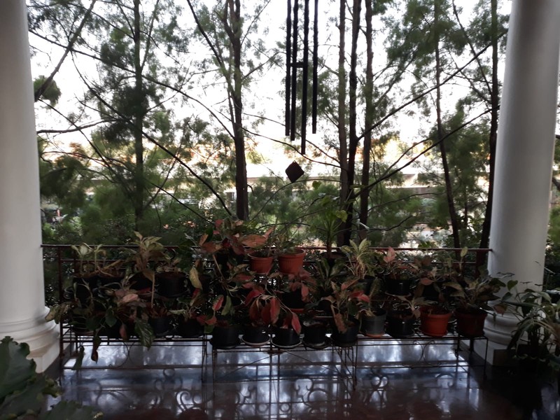 Rumah Hitung Tanah Di Jl Taman Wijaya Kusuma Cilandak Jakarta Selatan