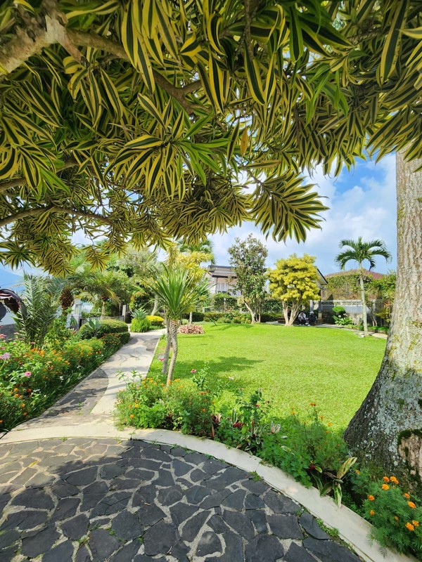 Rumah Bagus Di Jl Pasir Arisella Cipanas Bogor Jawa Barat