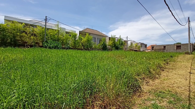 Leasehold - Land for Villa Development - Prime Investment Opportunity in Canggu, Bali