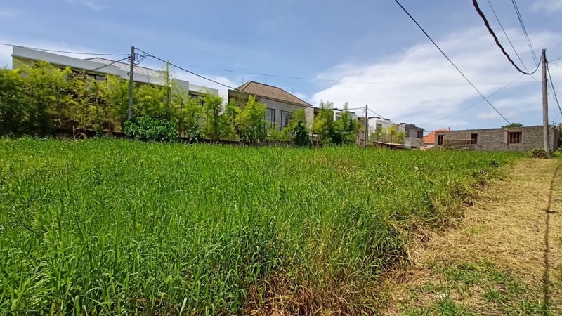 Leasehold - Land for Villa Development - Prime Investment Opportunity in Canggu, Bali