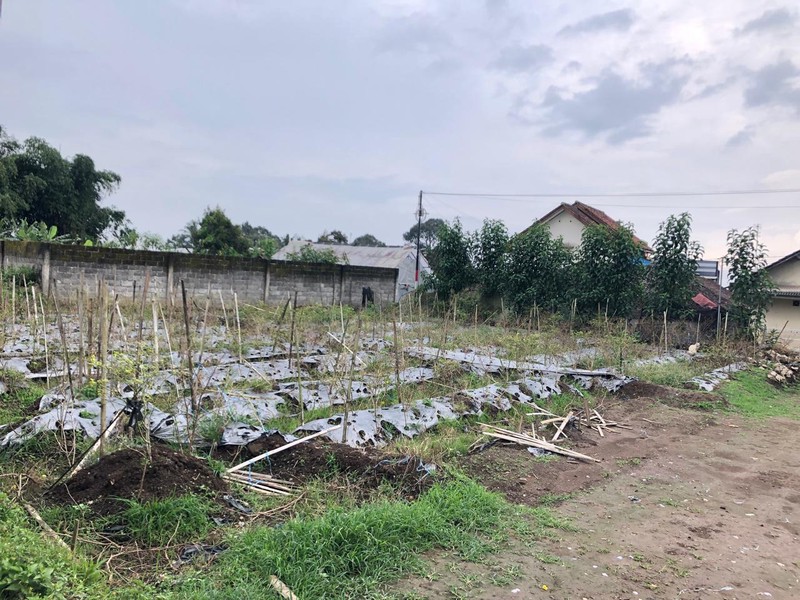 Tanah Strategis & Asri Dekat 50 meter Dari Jalan Raya, Medari, Ngadirejo, Temanggung