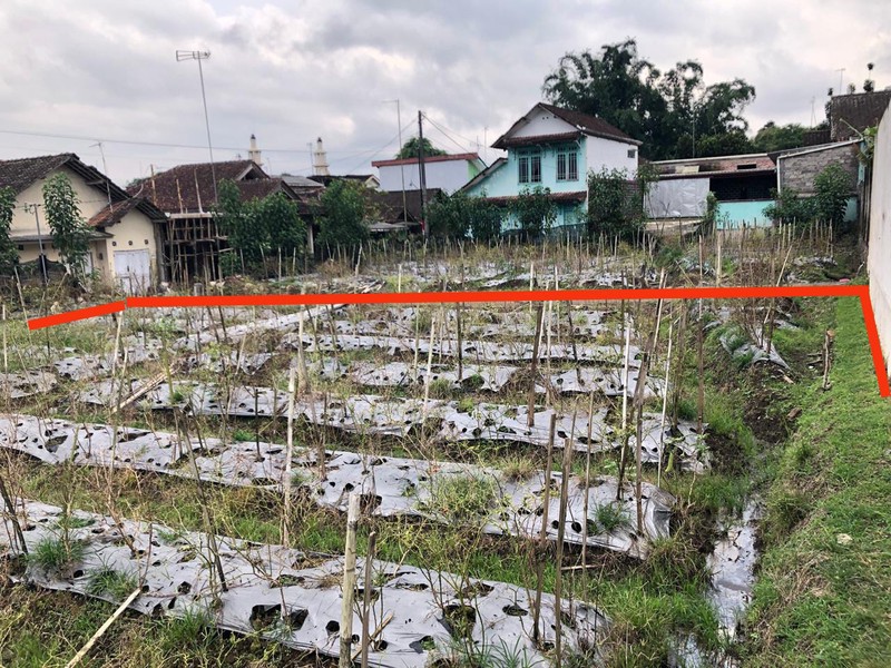 Tanah Strategis & Asri Dekat 50 meter Dari Jalan Raya, Medari, Ngadirejo, Temanggung