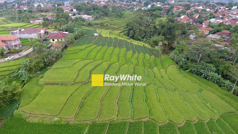 Tanah Kebon Suuk Cicalengka