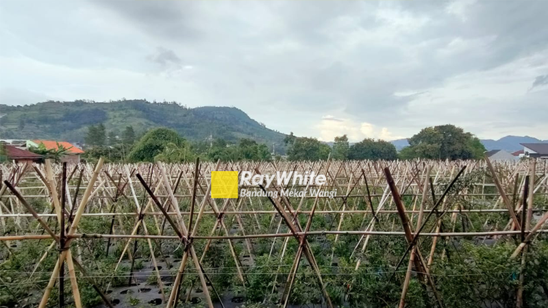 Tanah di Jl. Maribaya Lembang