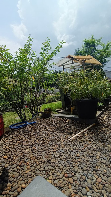 Rumah bagus, siap huni di dalam perumahan di Pamulang 