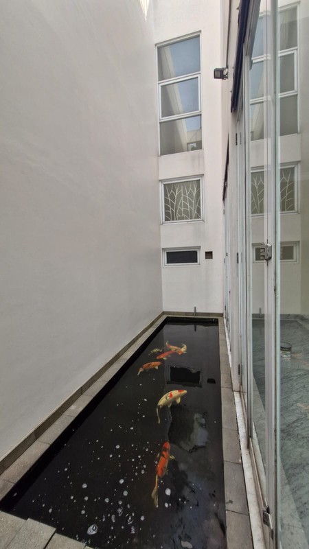 Disewa Rumah Siap Huni Jl. Erlangga Kebayoran Baru, Jakarta Selatan