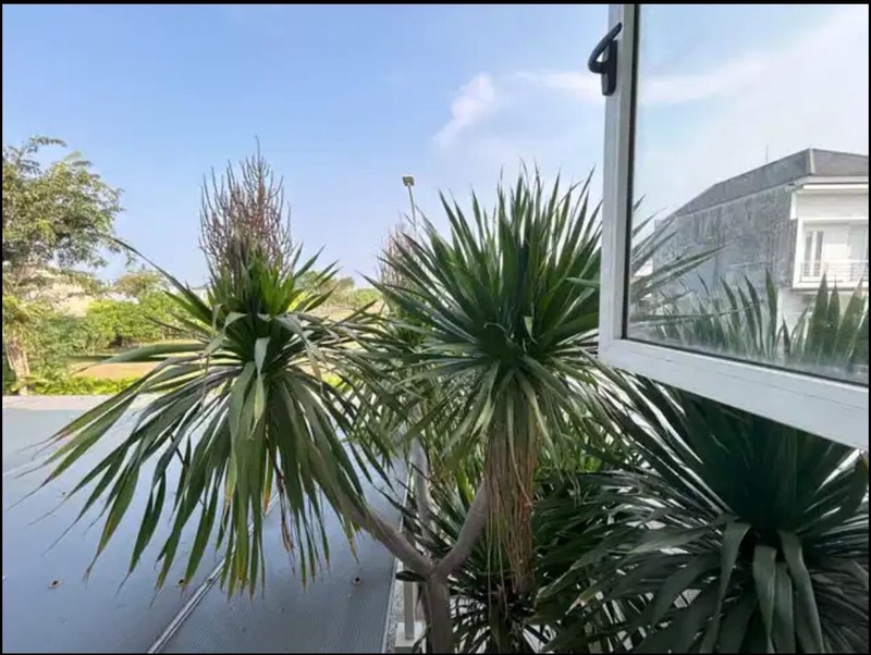 MURAH 2 Milyar-an Dijual Rumah Pakuwon City - Raya Grand Island BONUS Full Furnished Modern - SPESIAL Row Jalan LEBAR 35 meter LUAS - Siap Huni