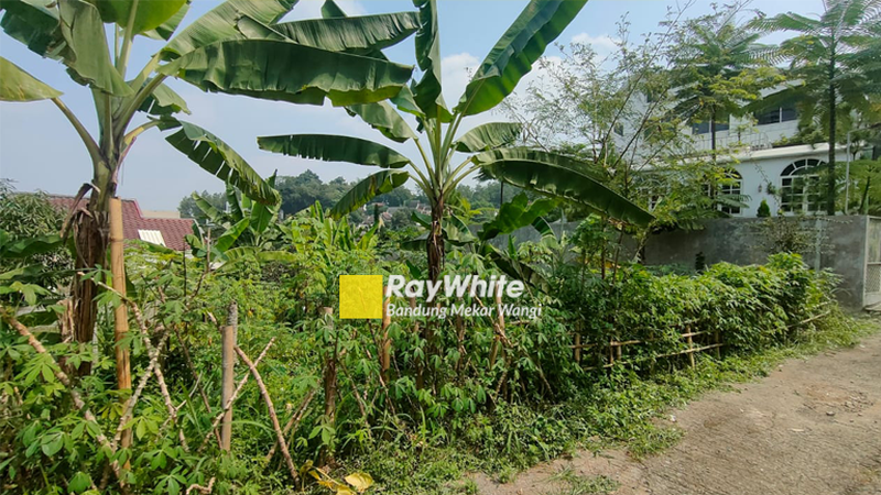 Tanah Kavling PTPN Bojongkoneng