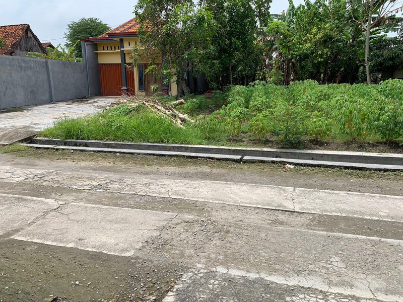 Dijual Rumah dan Pekarangan Luas dan Dekat Jalan Propinsi Lamongan