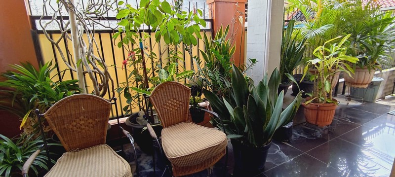 Rumah Nyaman di Daerah Condet Jakarta Timur