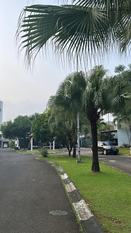 Rumah Siap Huni dengan Hunian Nyaman dan Asri di Ciputat