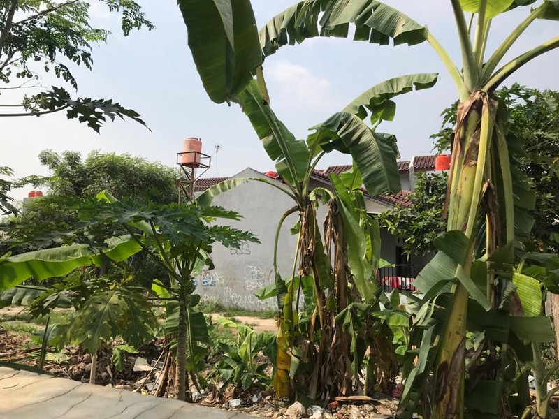 Kavling Murah Siap Bangun dan Lokasi Strategis @Pesanggrahan, Jakarta Selatan