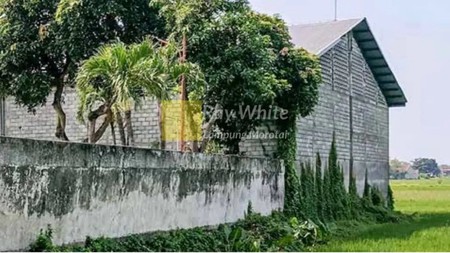 Dijual Gudang di Desa Gambiran, Mojoagung, Jombang, Jawa Timur