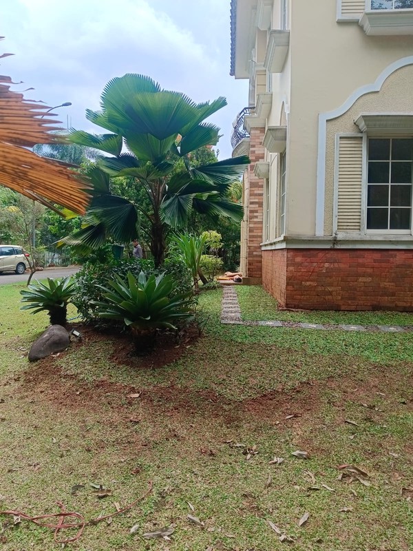 Dijual rumah strategis dekat toll in dan out bsd city banyak penghijauan bebas banjir siap huni di The Green Cluster Montecarlo BSD City Tangsel