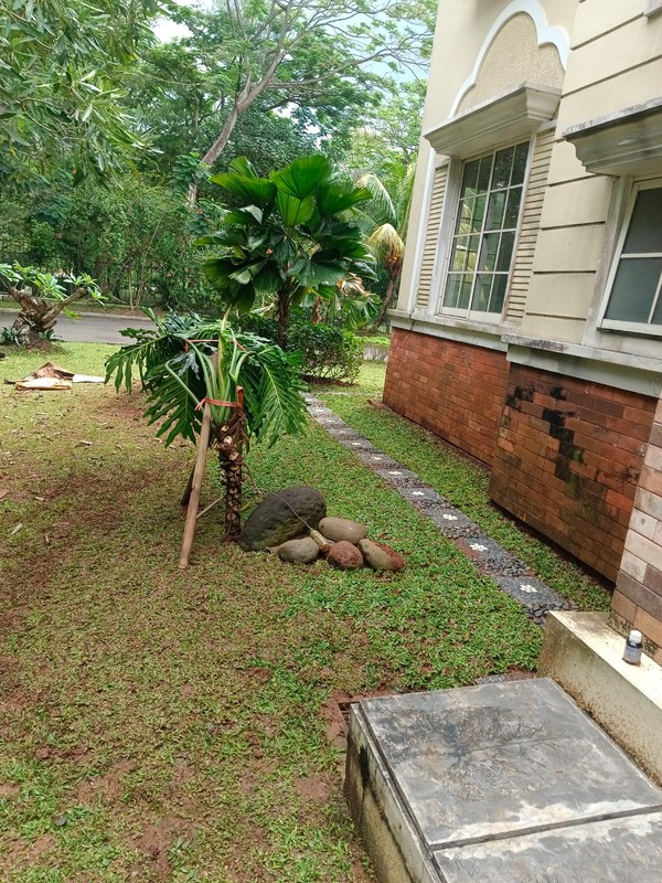 Dijual rumah strategis dekat toll in dan out bsd city banyak penghijauan bebas banjir siap huni di The Green Cluster Montecarlo BSD City Tangsel