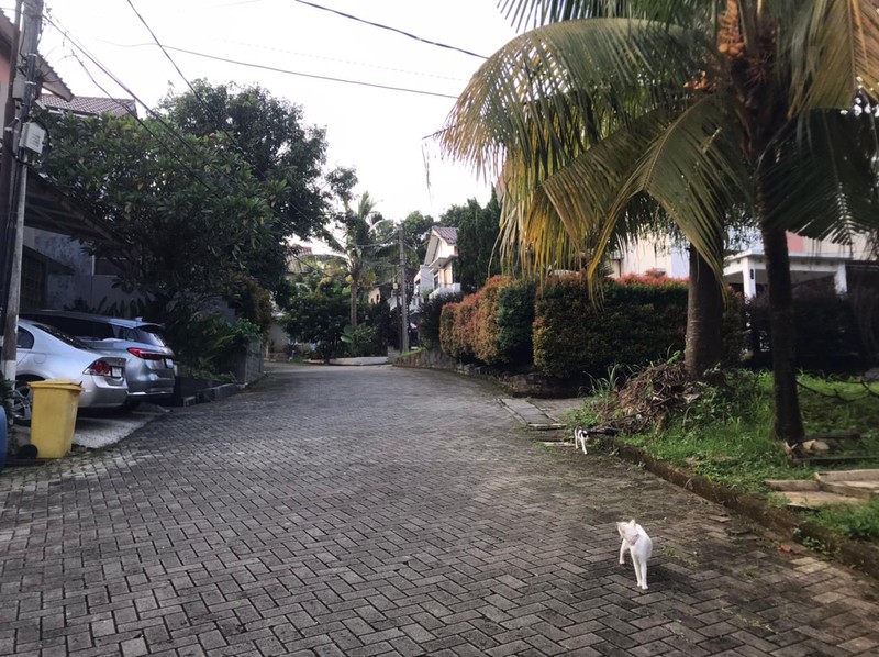 Rumah 2 Lantai Siap Huni dengan Hunian Nyaman dan Asri @Ciputat Timur