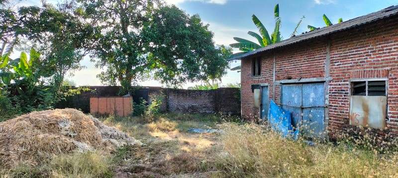 Rumah + Tanah Luas di Kutorejo Mojosari | LT 6.145 m² | Cocok Usaha & Investasi