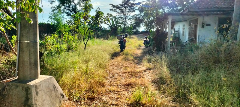 Rumah + Tanah Luas di Kutorejo Mojosari | LT 6.145 m² | Cocok Usaha & Investasi